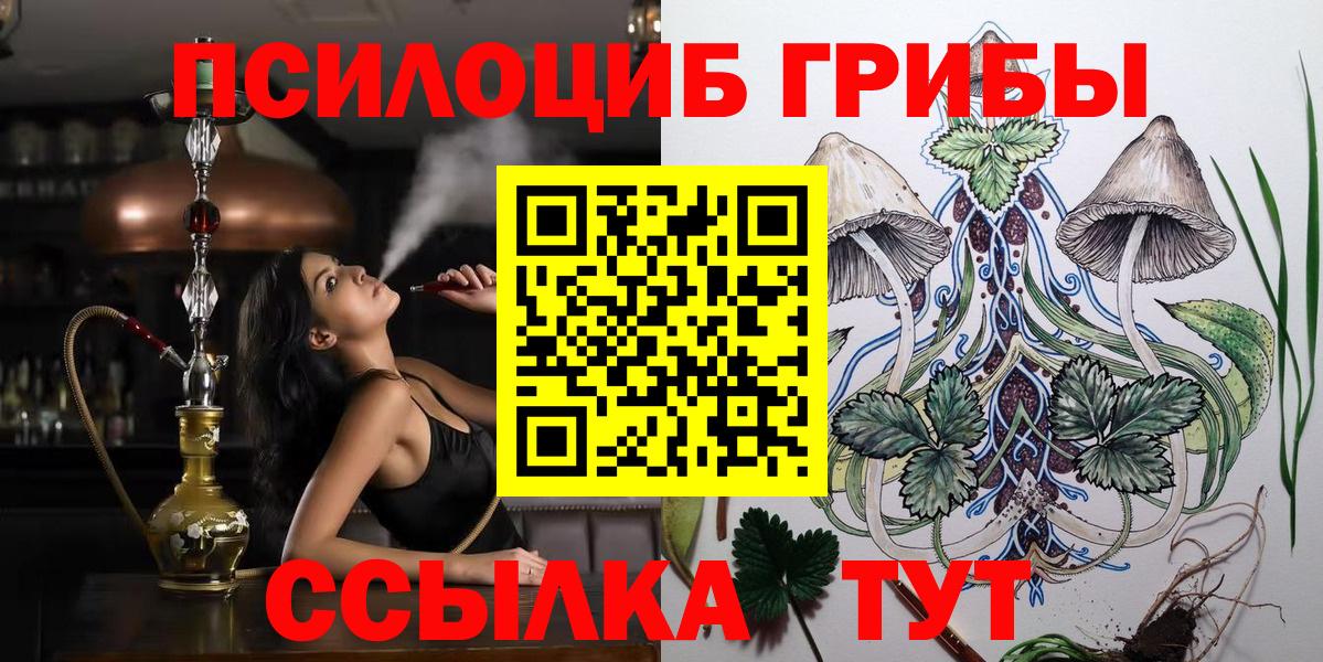 Псилоцибиновые грибы Psilocybine cubensis Новокуйбышевск
