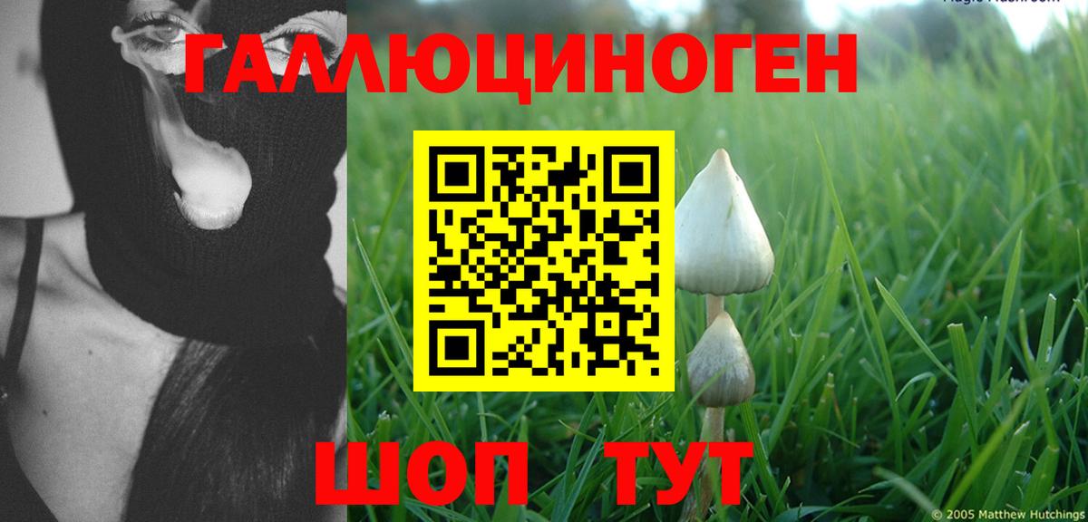 Псилоцибиновые грибы Psilocybe  Вход с VPN  Новокуйбышевск 